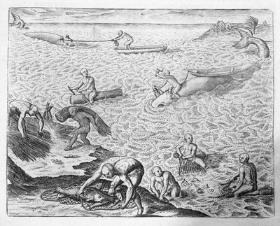 American Indian method of whaling, from an account by Jose de Acosta, from 